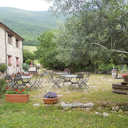 Il Giardino Degli Ulivi Castelraimondo