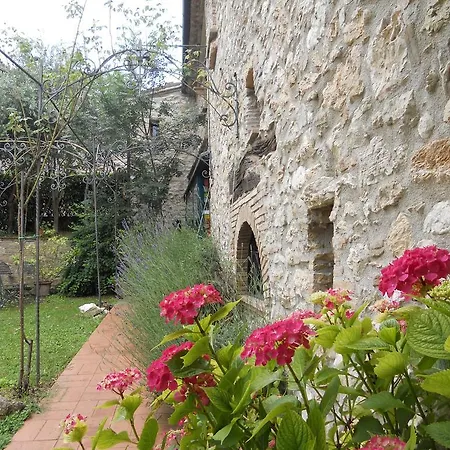 Il Giardino Degli Ulivi
