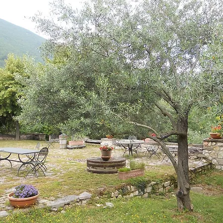 Vakantieboerderij Il Giardino Degli Ulivi *